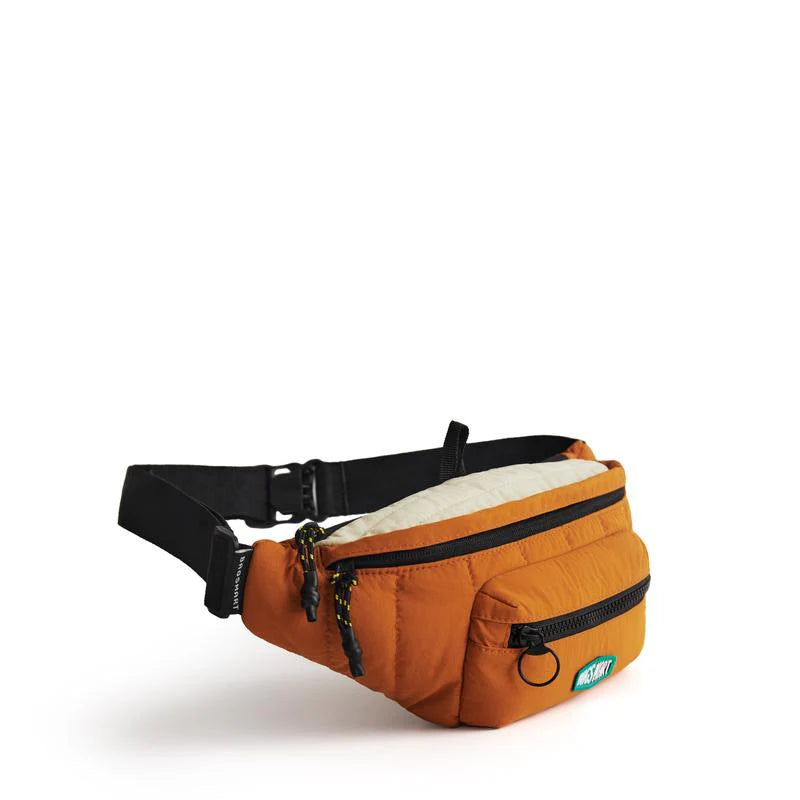 BAGSMART Versatile Travel Sling Bag